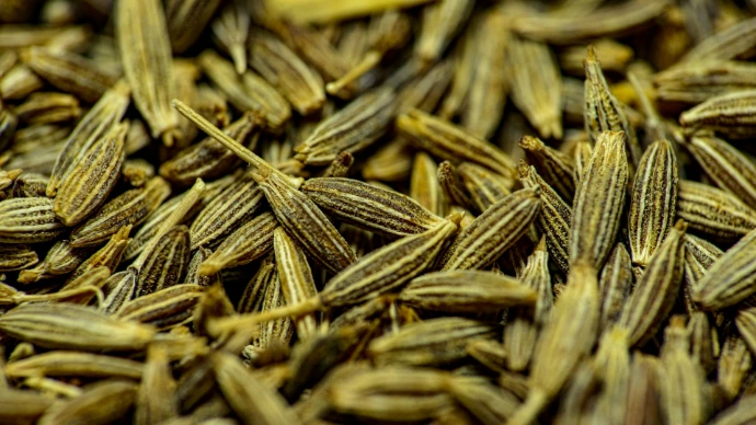 brown wheat in close up photography